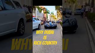 Shocking Facts About Dubai That Will Leave You Speechless  Interesting Facts  Unknown Dubai Tamil [upl. by Gill]