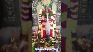 Muruga neeye thunnai song tamil music love god ganesh shiv murugan festival shorts tamil [upl. by Naihtniroc277]