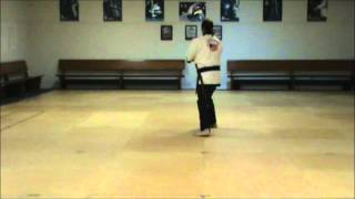 Haidong Gumdo Stances [upl. by Edythe]