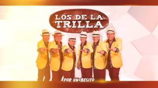 Los De La Trilla  Por un besito Audio [upl. by Heisel]