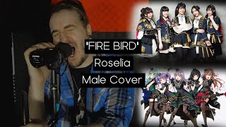 ”FIRE BIRDquot  Roselia  Male Cover [upl. by Mcculloch]