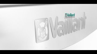 Vaillant Ecotec Boiler Servicing [upl. by Ynna]