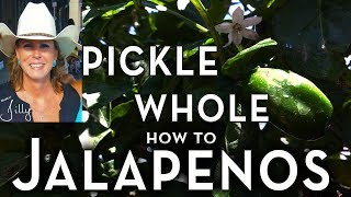 How to Pickle Whole Jalapeno Peppers  Easy Beginner Method [upl. by Ocnarfnaig]