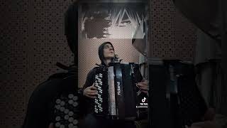 Number One Bleach OST Accordion version animemusic animeost bleach animefans [upl. by Barbette510]