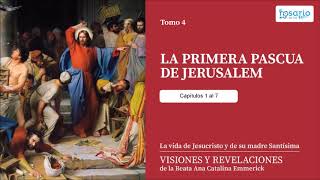 VISIONES Y REVELACIONES DE ANA CATALINA EMMERICK TOMO 4 VIDA PÚBLICA DE JESÚS capítulos 1 al 7 [upl. by Manvil]