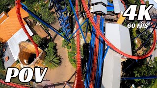 SheiKra Front Row POV  Busch Gardens Tampa  4K 60fps [upl. by Hubie]