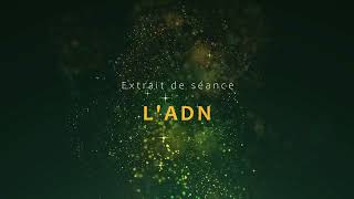 Extrait de séance  LADN [upl. by Chui]