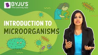 Microorganisms Introduction [upl. by Adnamas]