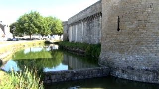 Les Carpes de Guérande Trouvez lintrus [upl. by Jenesia645]