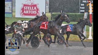 Karl amp Yannick Gingras won Hambletonian 2024 No 99  Final 3YO Open 1050000 at Meadowlands [upl. by Naul]