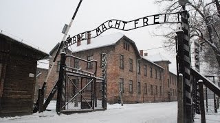 AUSCHWITZ  BIRKENAU quotla follia umanaquot POLONIA nazi camp in Oświęcim  HD [upl. by Harlie652]