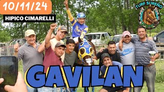 GAVILAN  Tana C8  101124 Hipico Cimarelli  San Carlos Mza [upl. by Tomasine]