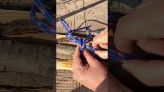 A highly practical knot for bundling firewood [upl. by Lowry845]