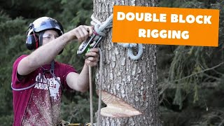 Double block rigging  Tree rigging systems [upl. by Ardnassak141]