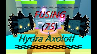 Fusing Hydra Axolotl  in Pet Simulator X [upl. by Aihsar379]