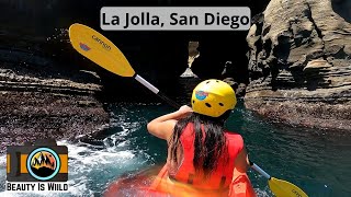 Kayaking Tour La Jolla San Diego  What to Expect [upl. by Aicatsal812]