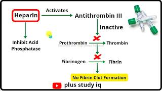 Heparin Anticoagulant a brief Introduction Plus study iq [upl. by Lyrej]