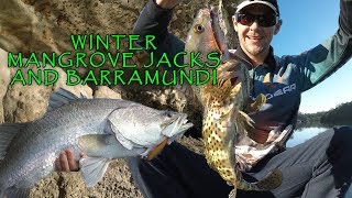 WINTER JACKS AND BARRAMUNDI DOUBLE HOOKUP [upl. by Roby]