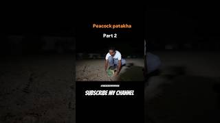 Peacock fataka diwali shorts shortvideo viralvideo trending ytshorts shorts vlog [upl. by Zsuedat]