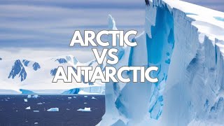 Arctic vs Antarctic What’s the Real Difference Between the North and South Poles [upl. by Cerveny539]