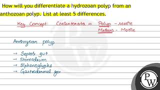 Audified phylogeny of Anthozoa DeLeo et al 2024 [upl. by Aicinod213]