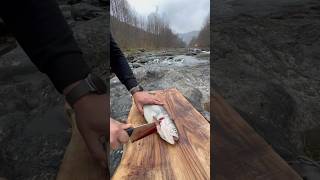 Norwegian salmon accompanied by the sound of water [upl. by Mw]