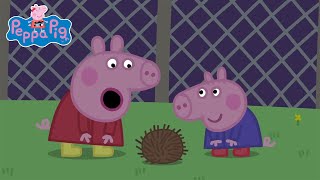 Peppa Pig Learns About Nocturnal Animals [upl. by Gaspard238]