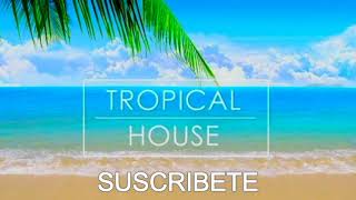 TEHC HOUSE TTROPICAL VENEZUELA AFRO CHARRASCA VENEZUELA [upl. by Acile268]