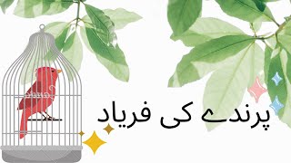 پرندے کی فریاد  Parinde Ki Faryad The Birds Complaint  Allama Iqbal  Fikar e Iqbal [upl. by Ninahs79]