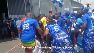 Haa ma Dembare ane rudo  Song and Dance Moment in celebration of Chigovas life [upl. by Landri891]