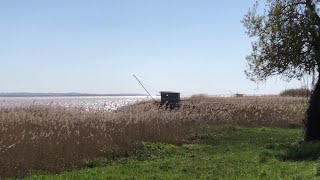 quotTous les chemins mènent à Pauillacquot en Gironde [upl. by Llehsyar]