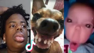 THE FUNNIEST TIK TOK MEMES Of August 2023  Try Not To LAUGH 😂  15 [upl. by Alburg]