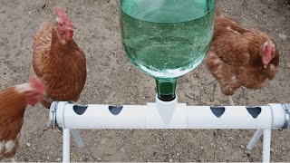 Bebedero para gallinas ponedoras PVC [upl. by Ardnasak12]