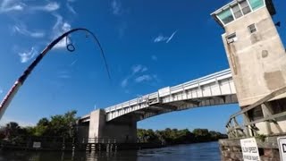 Fishing￼ Haulover Canal north of Merritt Island Brevard County FL ￼ [upl. by Renzo]