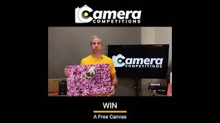 Enter a Free photography Competition photography wednesdaywinners camera canonphotography [upl. by Aivad]