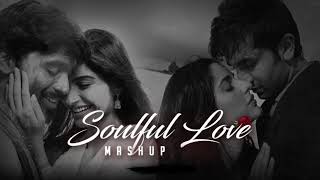 Soulful Mashup 2024  Nonstop Jukebox  Special Romantic Love Mashup 2024  FeelerOfficial0 [upl. by Ennaehr]