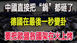 中國直接把“鍋”都砸了，德國在最後一秒變卦，要把歐盟各國架在火上烤 [upl. by Samuela]