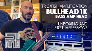 Trickfish Amplification Bullhead 1K First Impressions [upl. by Mathia]