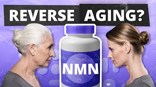 REVERSE AGING Dr David Sinclair on NMN amp Top NMN Benefits [upl. by Aznarepse]