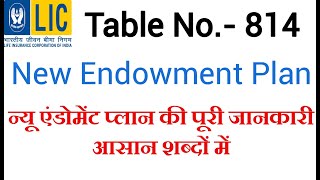 LIC NEW ENDOWMENT PLAN NO 814 IN HINDI  LIFE INSURANCE POLICY 814 IN HINDI 814 FULL DETAIL [upl. by Yticilef]