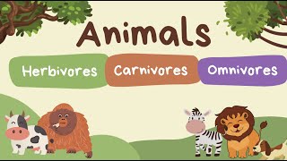 Animals  herbivore carnivore and omnivores quiz [upl. by Naibaf317]