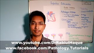 Infective Endocarditis Part 1 HD [upl. by Vite]