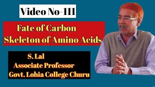 Fate of Carbon Skeleton of Amino Acids II Video No111 II [upl. by Asle]