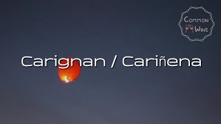 카리냥카리녜나 CarignanCariñena  와인 품종 이야기  와인 기초  와인공부 [upl. by Odnomyar]