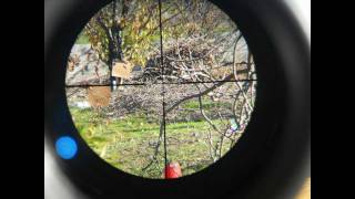 Air Rifle Hunting 4 New scope gamo 416x50 [upl. by Daniels]