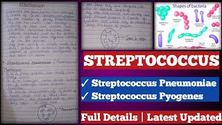 Streptococcus  streptococcus Pyogenes  streptococcus pneumoniae [upl. by Ayam]