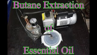 Butane Extraction of Essential Oil [upl. by Lerrad244]