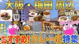 大阪梅田駅周辺【おすすめカレー店特集】本格、風変わり、格安、早朝カレー、百名店 [upl. by Shatzer555]