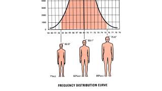 Ergonomics amp Anthropometrics [upl. by Nov]