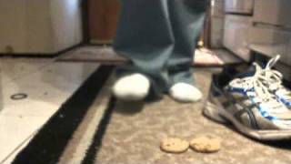 hanes socks and stepping on chips ahoy cookies [upl. by Onitnerolf]